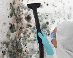 Best Mold Remediation for Rental Properties  in Lake Geneva, WI